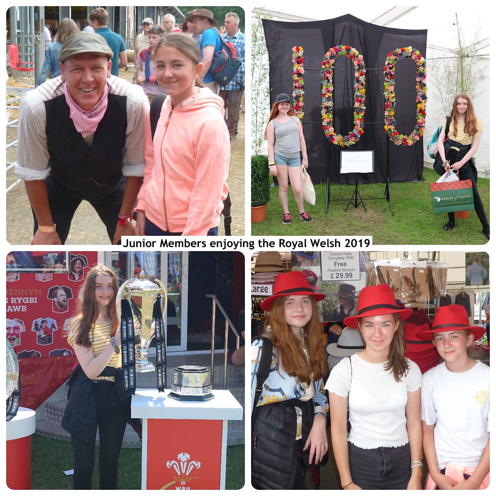 Royal Welsh Show 2