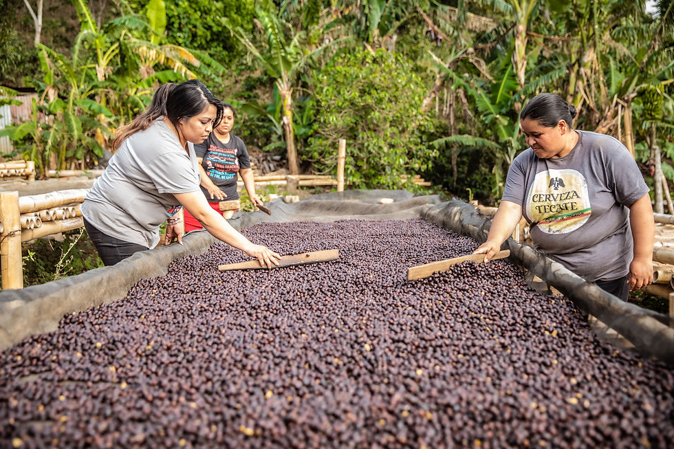 Two people processing coffee beans in El Salvador.
