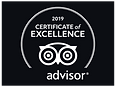 tripadvisor logo.png