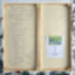 Art by Little League 2/2 (BACK)