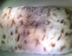 tumblr_inline_nww0ajldKa1r7wsy3_1280