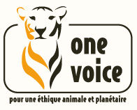 ONE VOICE