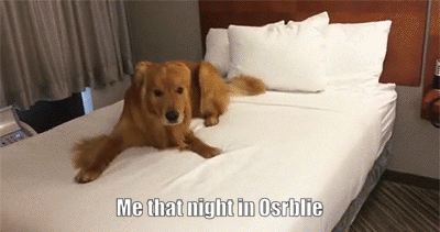 4.gif