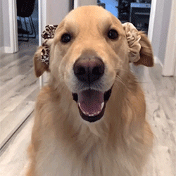 7.gif