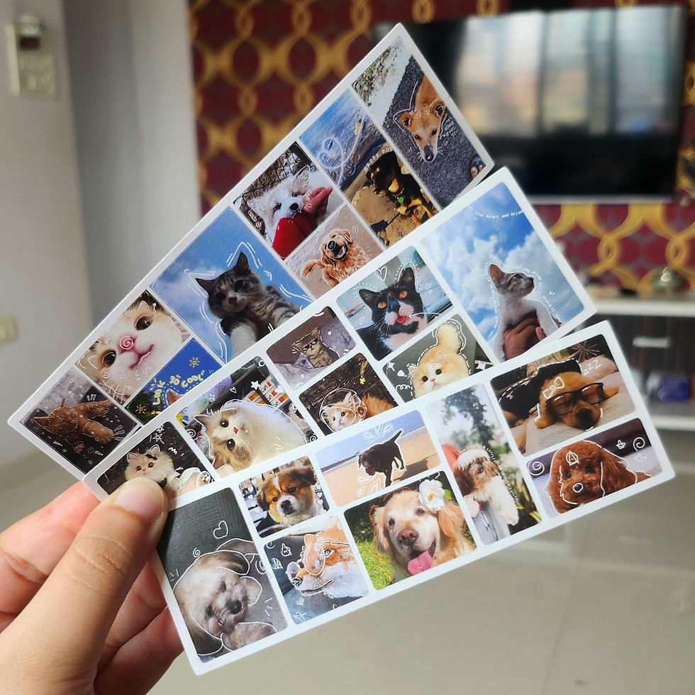 Aesthetic Life - Cats & Dogs