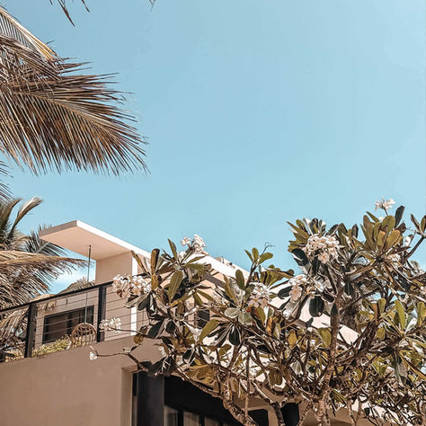 Lankavatara Ocean Retreat – Stilvoller Familienurlaub am Indischen Ozean in Sri Lanka