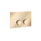 Miniature : 75617 Plaque de déclenchement Incastri pour TECE