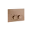 Miniature : 75617 Plaque de déclenchement Incastri pour TECE