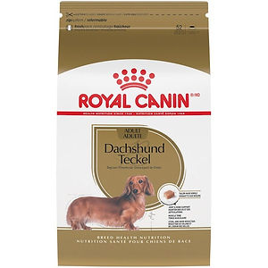royal canin dachshund adult.jpeg
