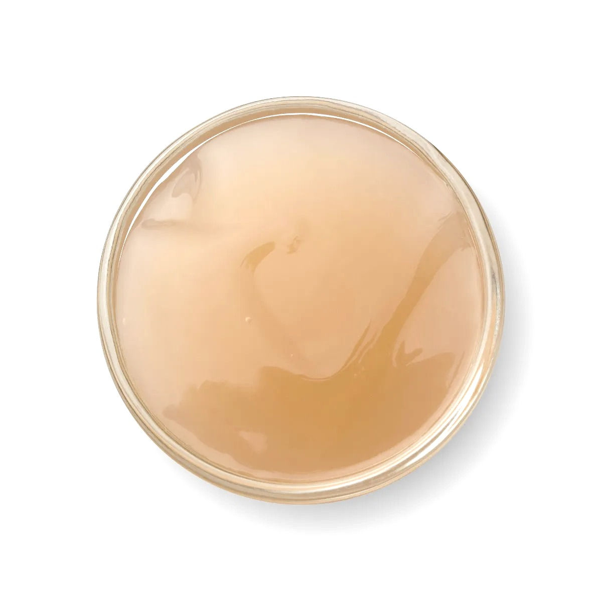 Sweet Agave Fig Hair Jelly