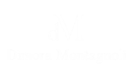 dm logo bianco.png
