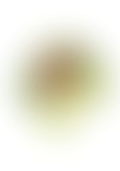 Dans cet article vous pourrez choisir et commander mes aquarelles sur les fruits et légumes. Couleurs franches, formes généreuses, fraîcheur du marché…Les fruits et légumes sont une source d’inspiration inépuisable à l’aquarelle. J’aime observer leurs nuances, la lumière sur une peau brillante, la douceur d’un vert tendre ou l’éclat d’un rouge profond.