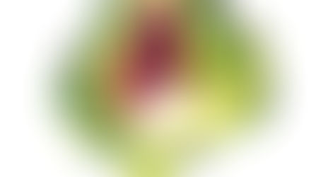 Dans cet article vous pourrez choisir et commander mes aquarelles sur les fruits et légumes. Couleurs franches, formes généreuses, fraîcheur du marché…Les fruits et légumes sont une source d’inspiration inépuisable à l’aquarelle. J’aime observer leurs nuances, la lumière sur une peau brillante, la douceur d’un vert tendre ou l’éclat d’un rouge profond.