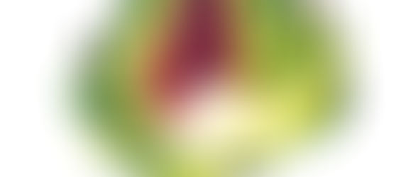 Dans cet article vous pourrez choisir et commander mes aquarelles sur les fruits et légumes. Couleurs franches, formes généreuses, fraîcheur du marché…Les fruits et légumes sont une source d’inspiration inépuisable à l’aquarelle. J’aime observer leurs nuances, la lumière sur une peau brillante, la douceur d’un vert tendre ou l’éclat d’un rouge profond.
