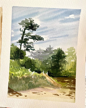 ma découverte du plein air