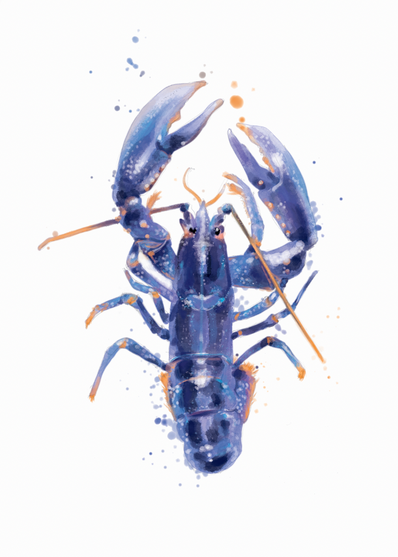 Dans cet article vous pourrez choisir et commander mes illustrations actuellement en vente.