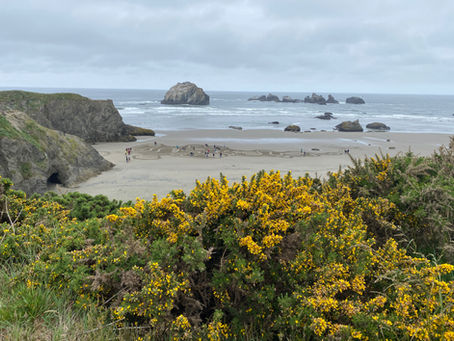 Sand and Sea Stacks: Our Next Draw Series Starts Next Week