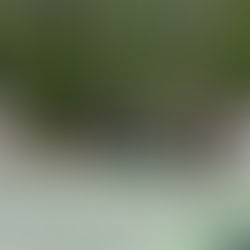 The Hidden Benefits of Tennis Beyond Fitness: Confidence, Coordination & Community