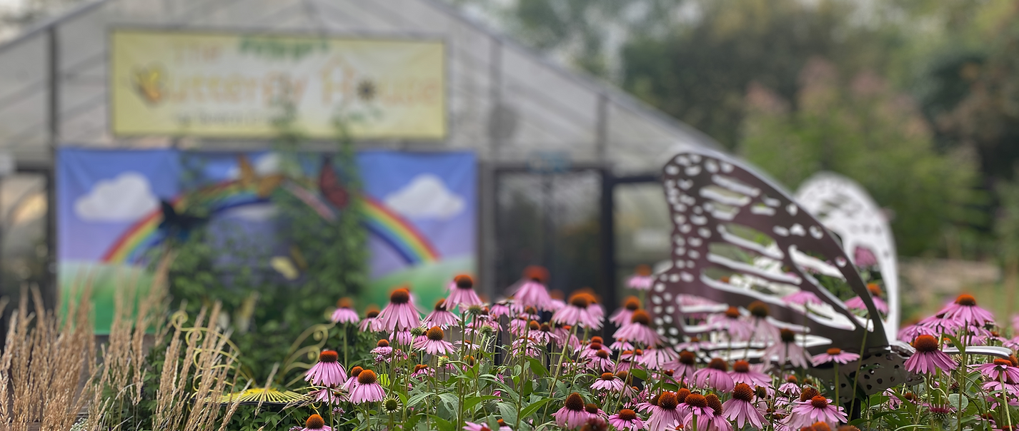 Untitled design (20).png