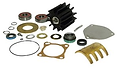Sherwood Repair Kit