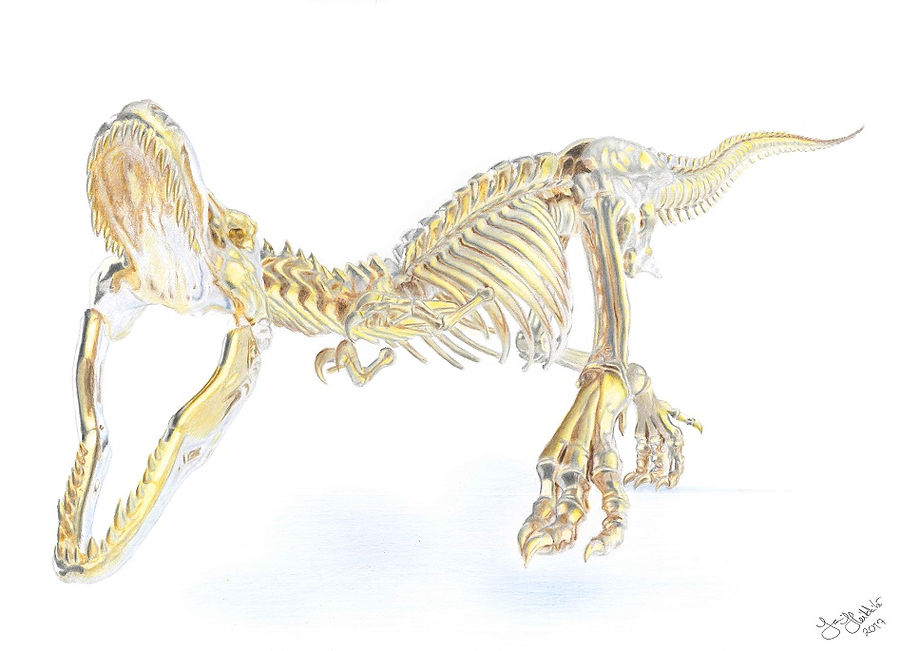 _Trex_Artbyjani.jpg
