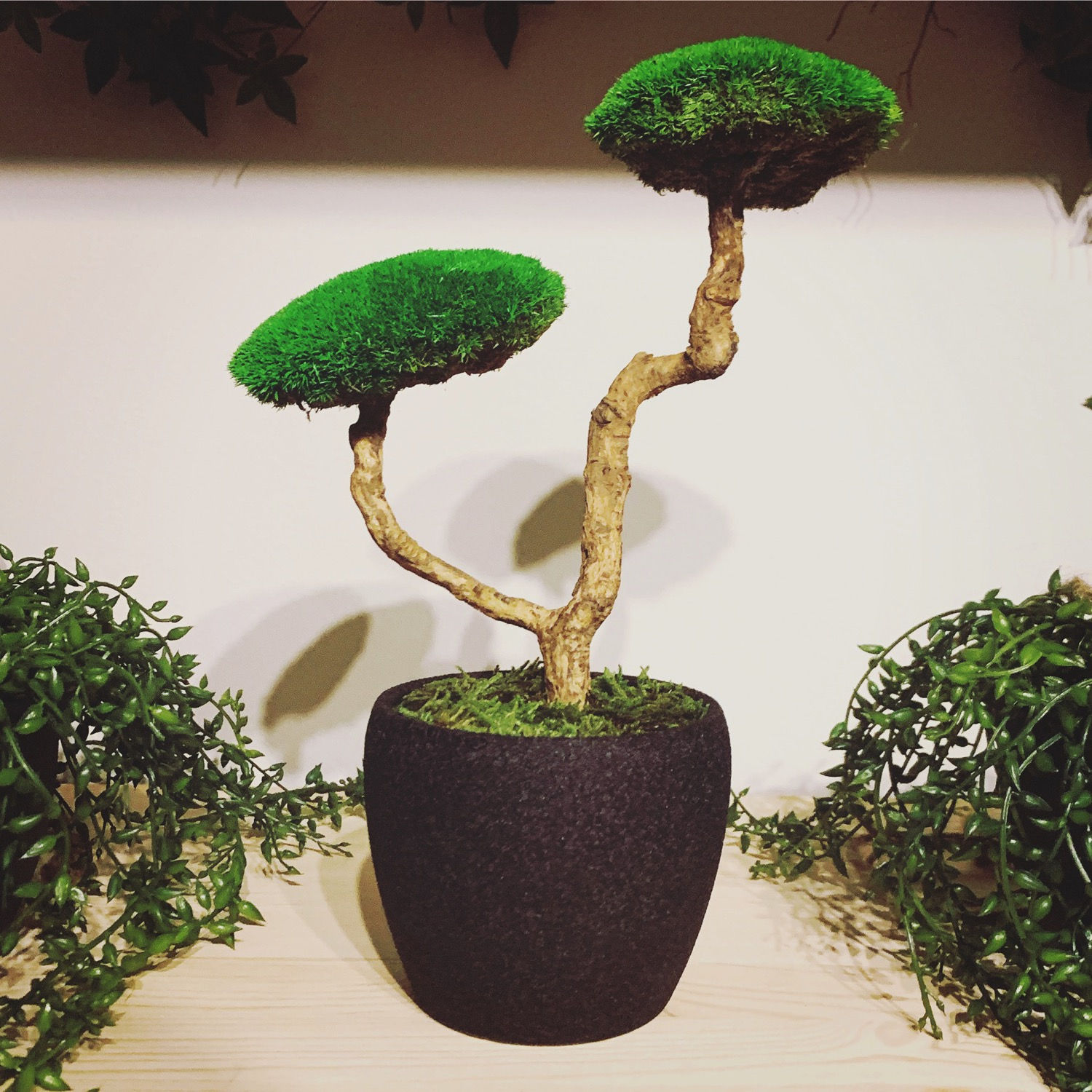 "Marche vers le Ciel"