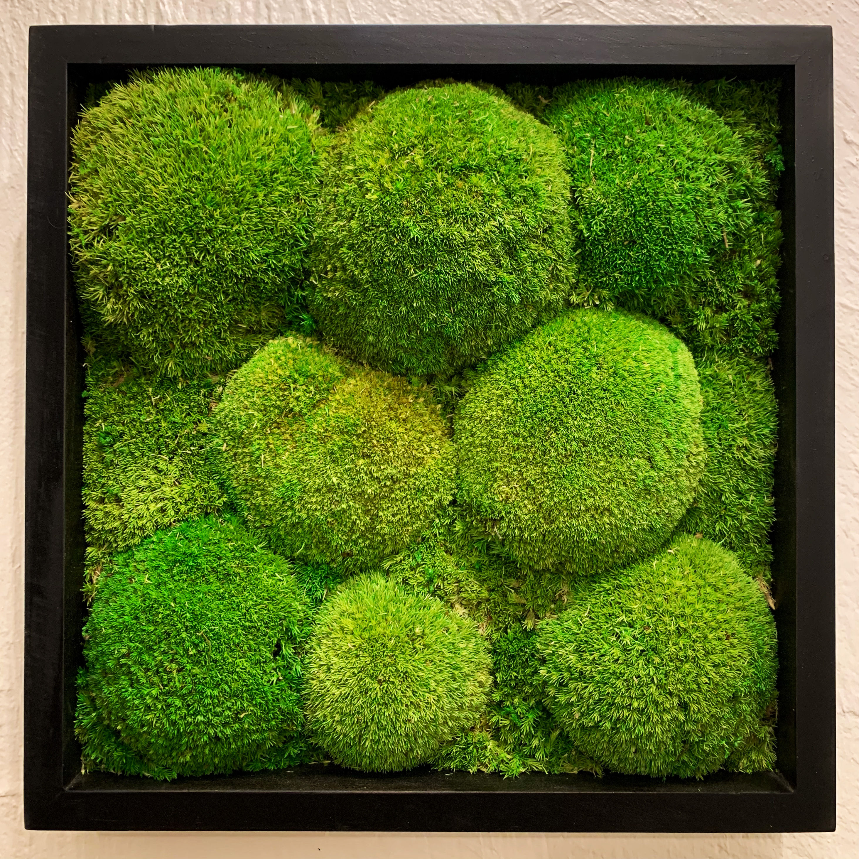 "Vision du Palantir"