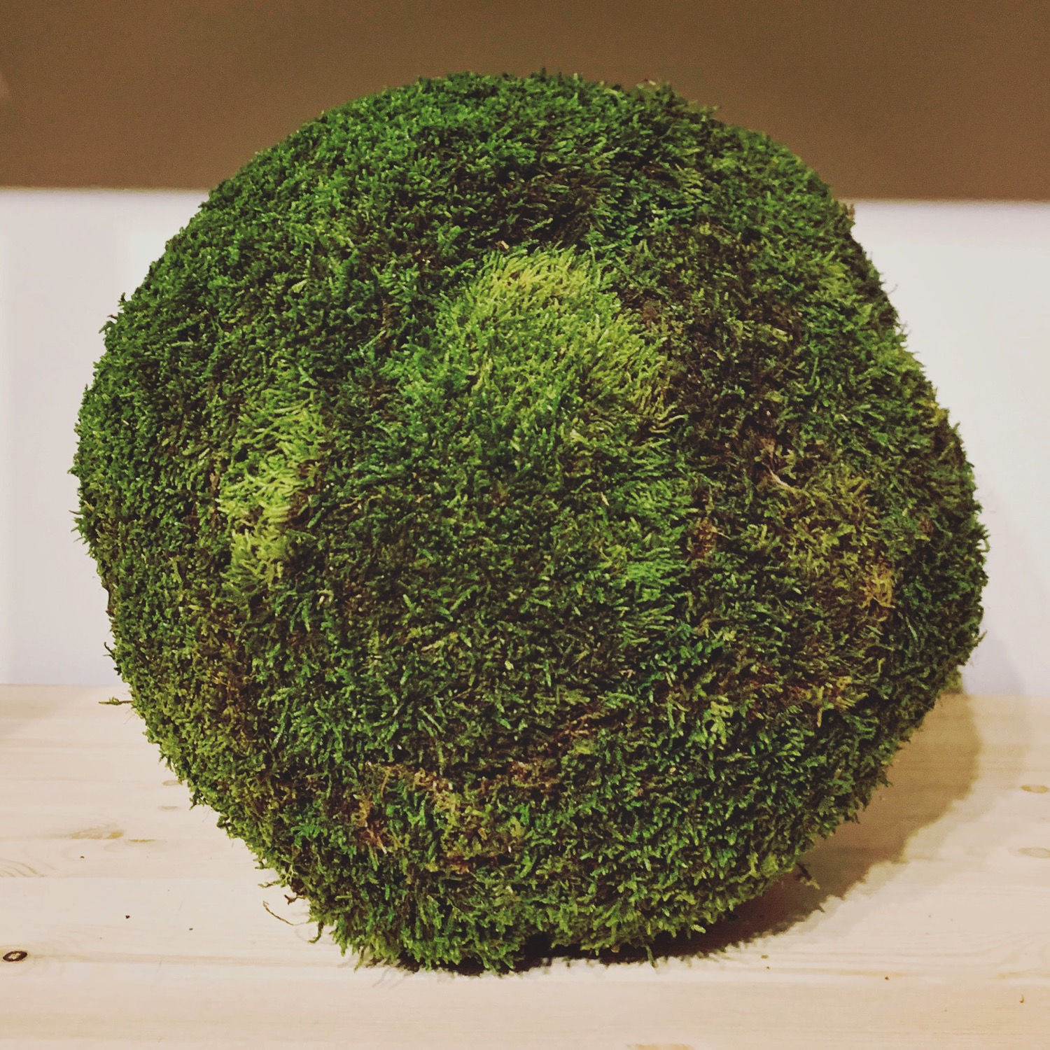 "Une Terre Parfaite"