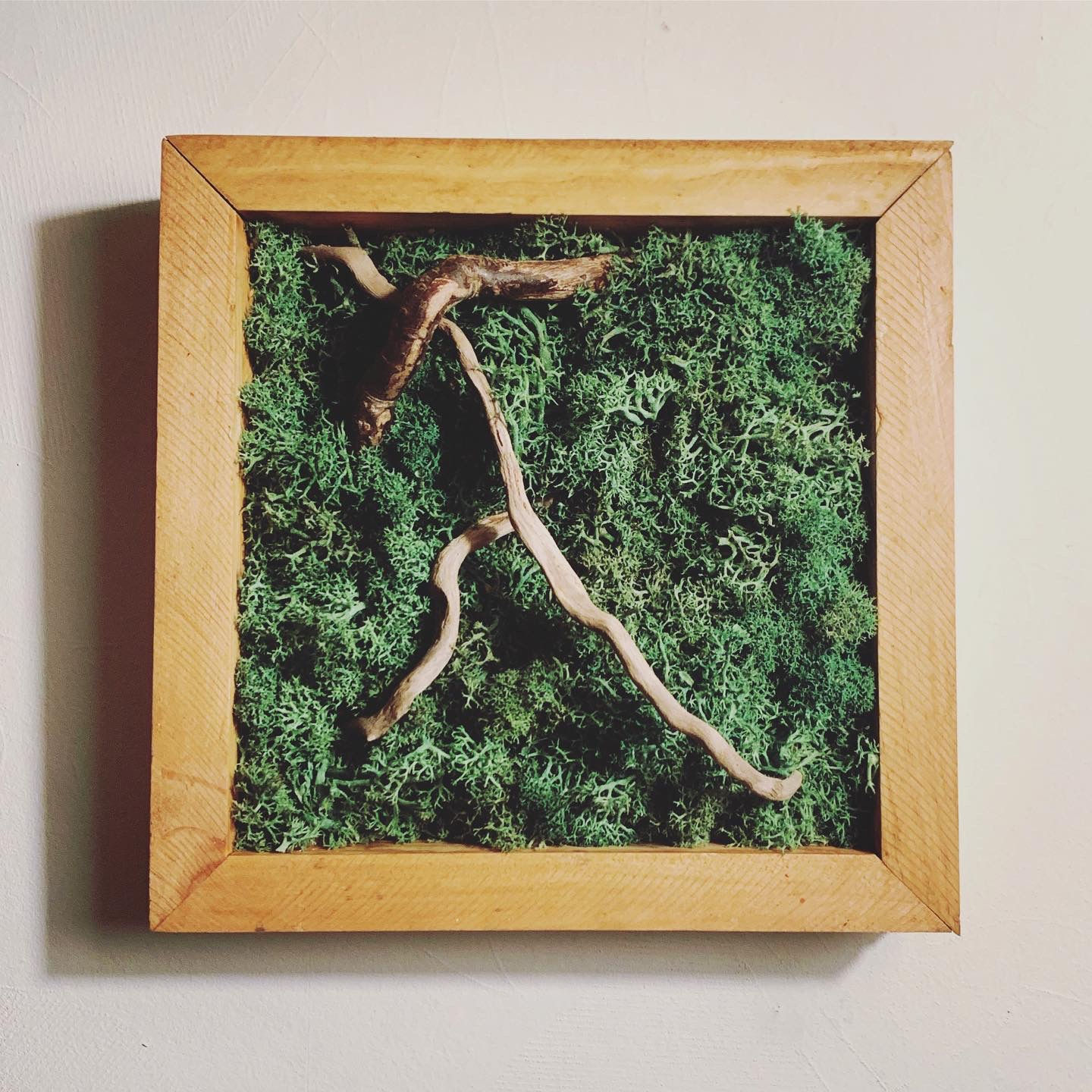 "Retour aux Racines"