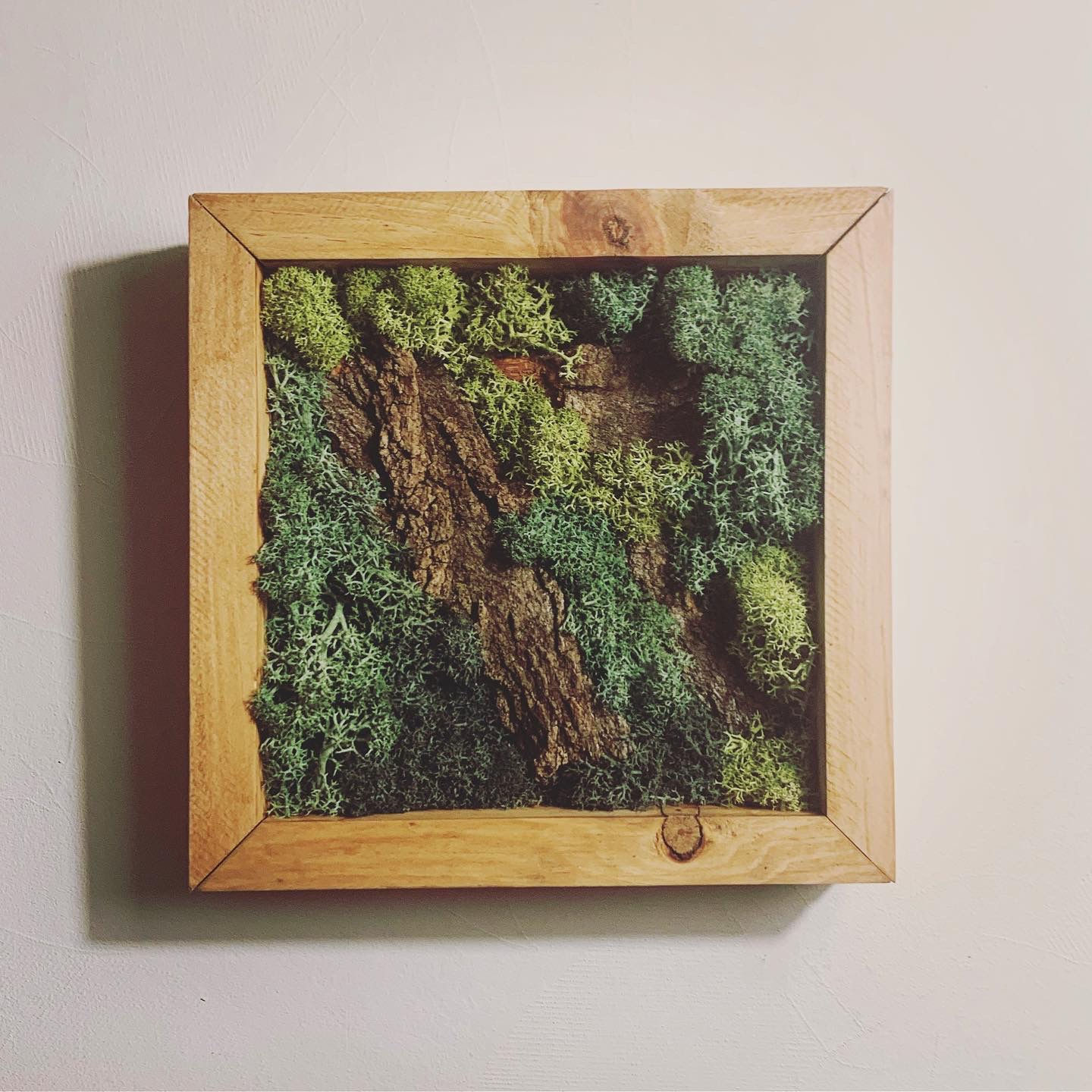 "Croissance Naturelle"