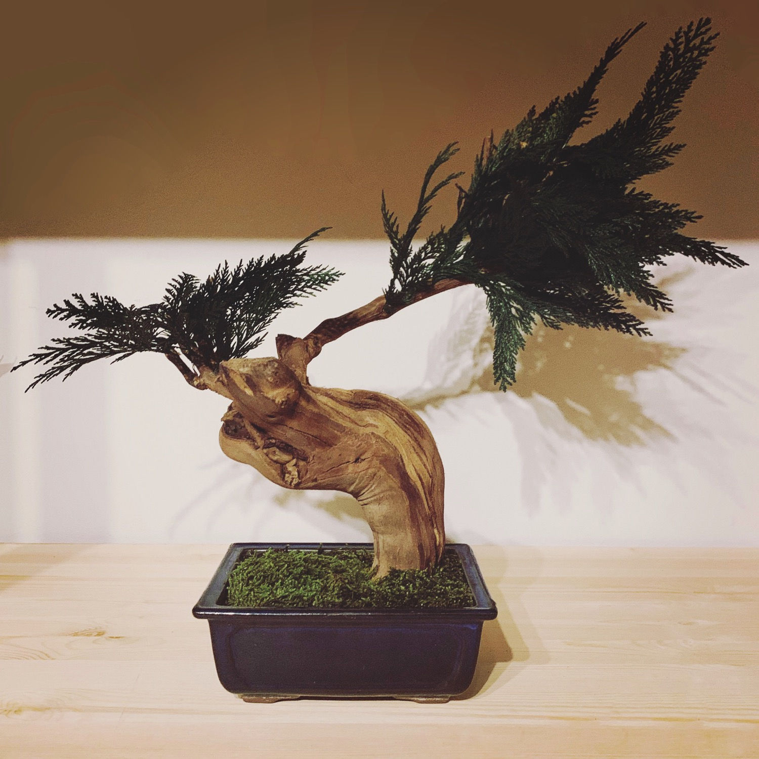 "Naissance de Shambhala"