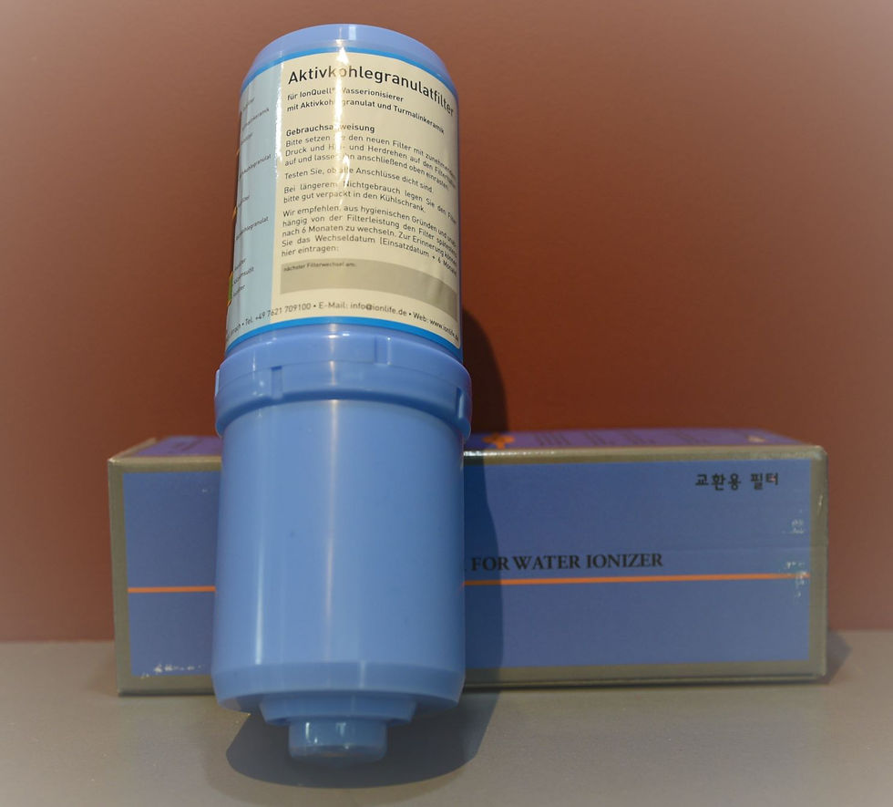 Miniature : Filtre charbon actif BIOSTONE