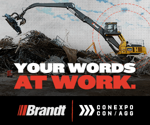 ELY Digital Ad_300 x 250.jpg