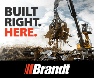 ELY Digital Ad_300 x 250.jpg