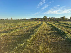 property fellow hills