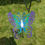 Thumbnail: Butterflies