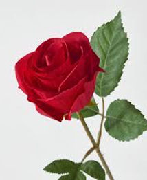 4916_001_edited.jpg
