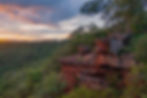 forest-trees-and-green-mountain-hills-nature-land-2024-10-22-02-37-59-utc.jpg