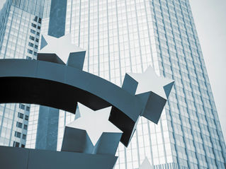 Implementation of LucaNet and Financial Processes for IPO Readiness