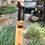 Thumbnail: 72" Maple Longbow (Board Bow / Self Bow)  Pulling 35# @ 28" or 40# @ 30"