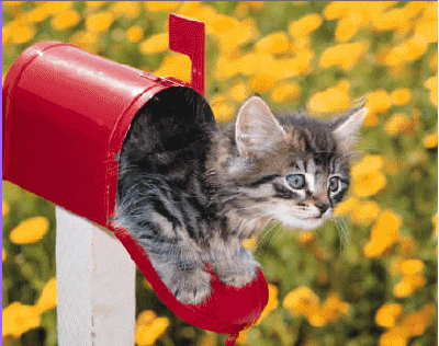 chat-mail.gif