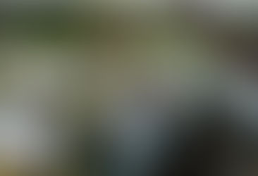 From Hinge to Hawaii: My Travel Social Worker Love Story