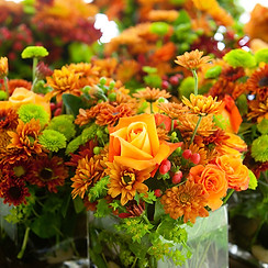 Floral Centerpieces 