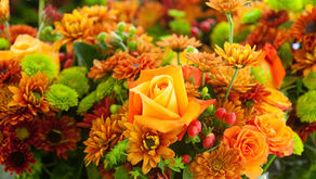 風邪薬　飲まないで！