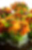 Floral Centerpieces