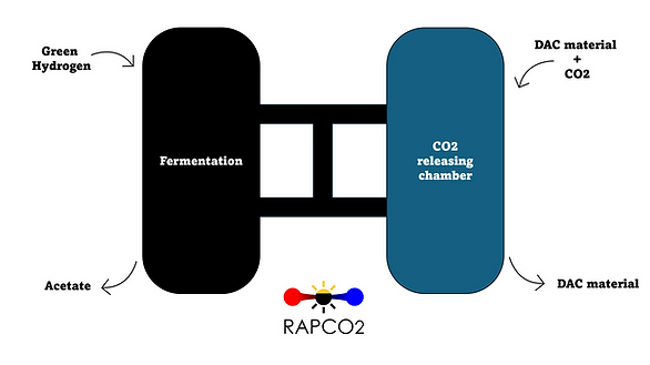 Processo RAPCO2 1.png