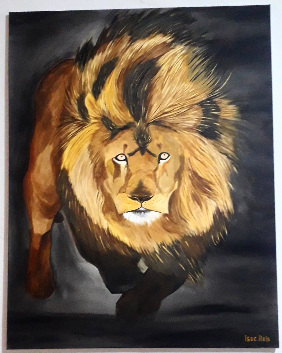 Coleção Animals (Leão)
