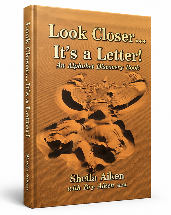Sheila Cover 3 d image .png