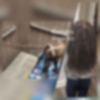 Thumbnail: Herbal Hair Growth Oil Infants & Children Postpartum Moms