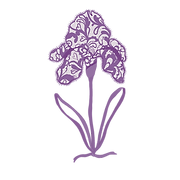 Iris Lingerie logo